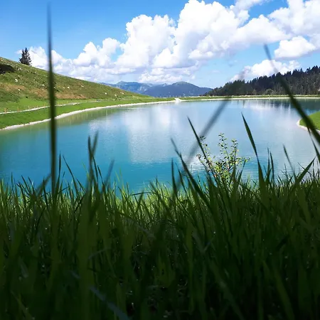 Dom wakacyjny Haus Schlager 